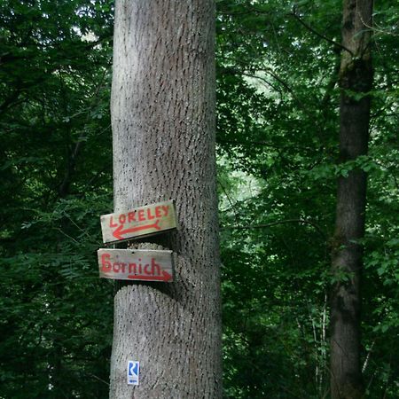 Ferienwohnung Baehr Bornich Eksteriør billede